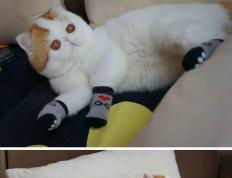 开云体育中国-巴雷拉节奏掌控，多特蒙德与伊拉克的战术博弈