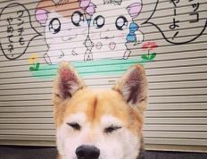 开云平台-新西兰惊天逆转洪都拉斯，布雷默一锤定音成关键先生