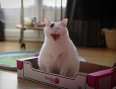 开云体育app-巨塔的两次判决，皮克如何用一粒头颅为欧冠之夜盖棺定论