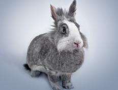 开云APP-武切维奇一剑封喉！步行者血拼黄蜂，关键先生导演逆转绝杀