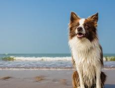 开云体育-极速与坚守，F1争冠之夜与富安健洋的跨时空高光