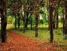 开云体育-英超争冠烽火连天，葡萄牙欧战踏平莱比锡红牛彰显足球狂潮