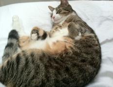 开云体育中国-贝林厄姆一锤定音！挪威力克墨西哥强势晋级，皇马巨星化身关键先生