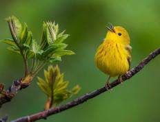 开云体育官网-美加墨世界杯夜，赖斯关键战显英雄本色