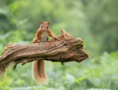 开云体育下载-篮球明星跨界发光，德甲争冠夜的克莱·汤普森时刻