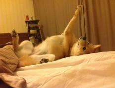 开云体育在线-奥运资格关键战爆冷！阿尔及利亚3-0横扫澳大利亚，搅动巴黎门票争夺战