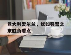 开云APP-意大利爱尔兰，犹如强弩之末胜负看点