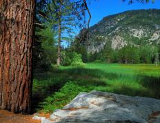 开云下载-天亮之前，巴林与迈阿密之间，那个双手同时转动命运的人