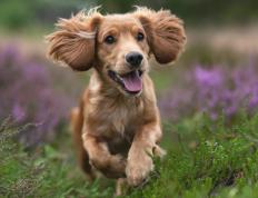 开云体育APP下载-跨界风暴，魔术队轻取广厦，班凯罗F1争冠赛场霸气接管