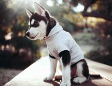 开云体育官网-2026篮球世界杯焦点战，新疆队闪电战速胜勇士，亚洲篮球崛起新标志