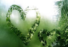 开云体育平台APP-包含砥柱之战：RB莱比锡客场反超斯图加特紧揽三分的词条