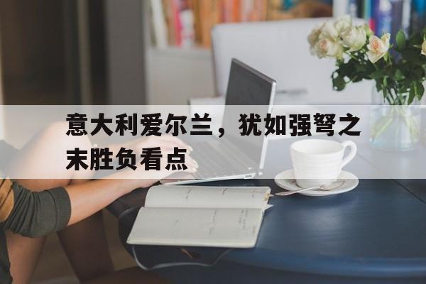 开云APP-意大利爱尔兰，犹如强弩之末胜负看点