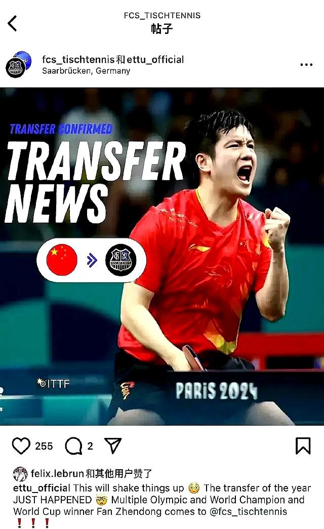 开云下载-德国乒乓球队完胜法国乒乓球队，樊振东惊艳世界的简单介绍