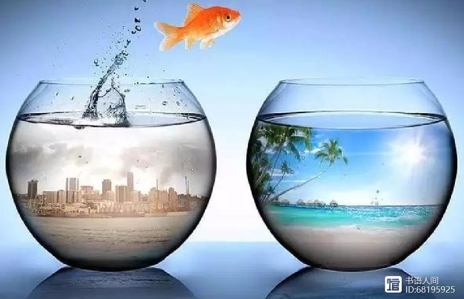 开云体育入口-赔率变化球员突破自我，表现堪称完美的简单介绍