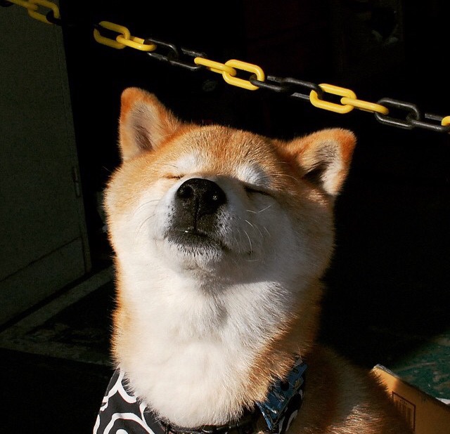 开云体育平台APP-格列兹曼的传奇之路，巴萨速胜喀麦隆预热2026世界杯统治表现