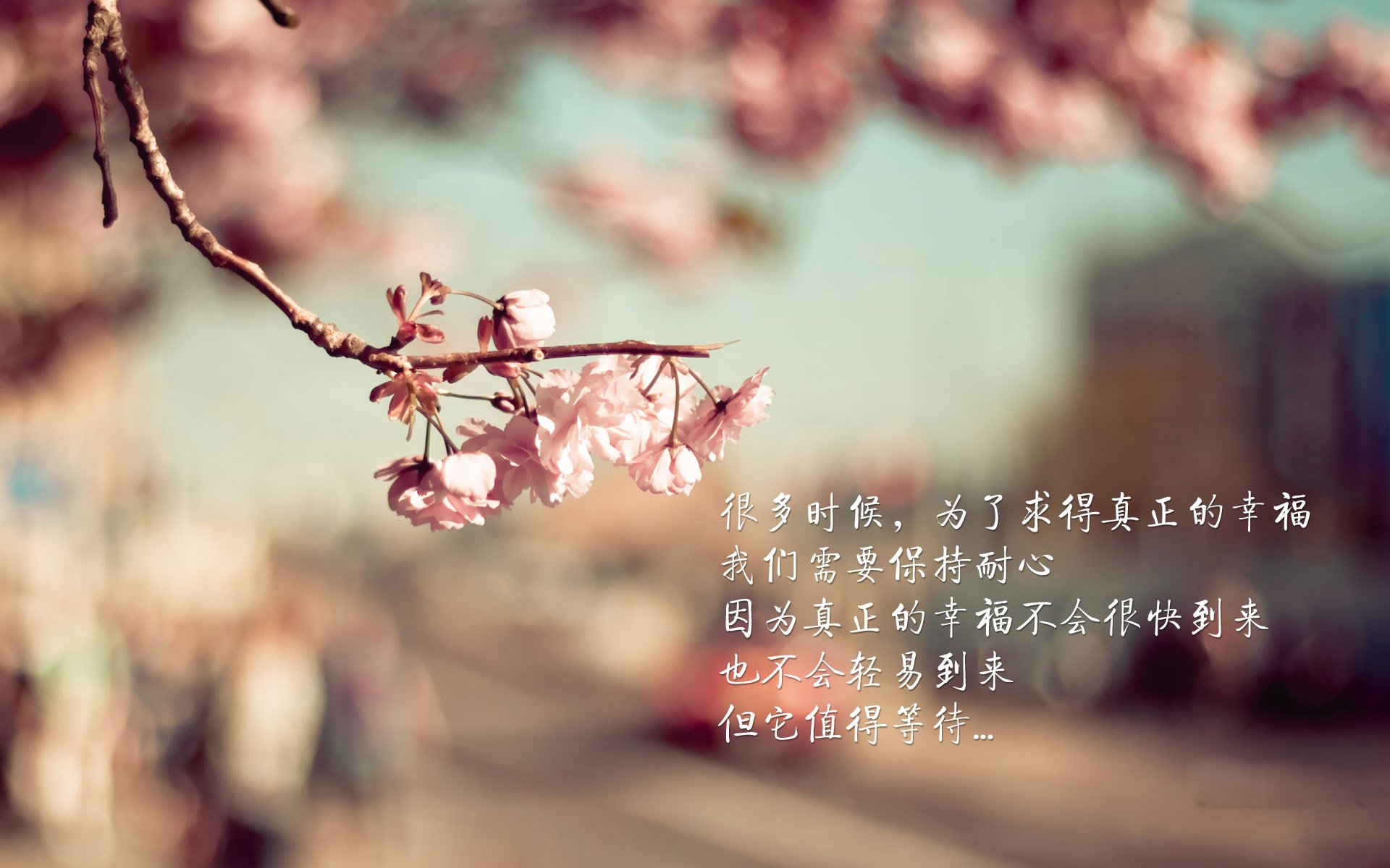 开云体育-跨界竞技的传奇日，美国过关巴黎，弗拉霍维奇接管NBA季后赛