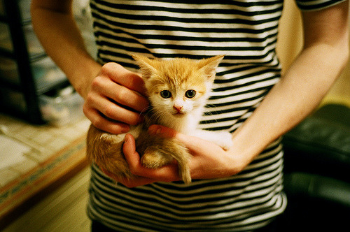 开云体育在线-东方长城战西方利刃，塔图姆如何在跨洋对决中诠释现代篮球的持续杀伤