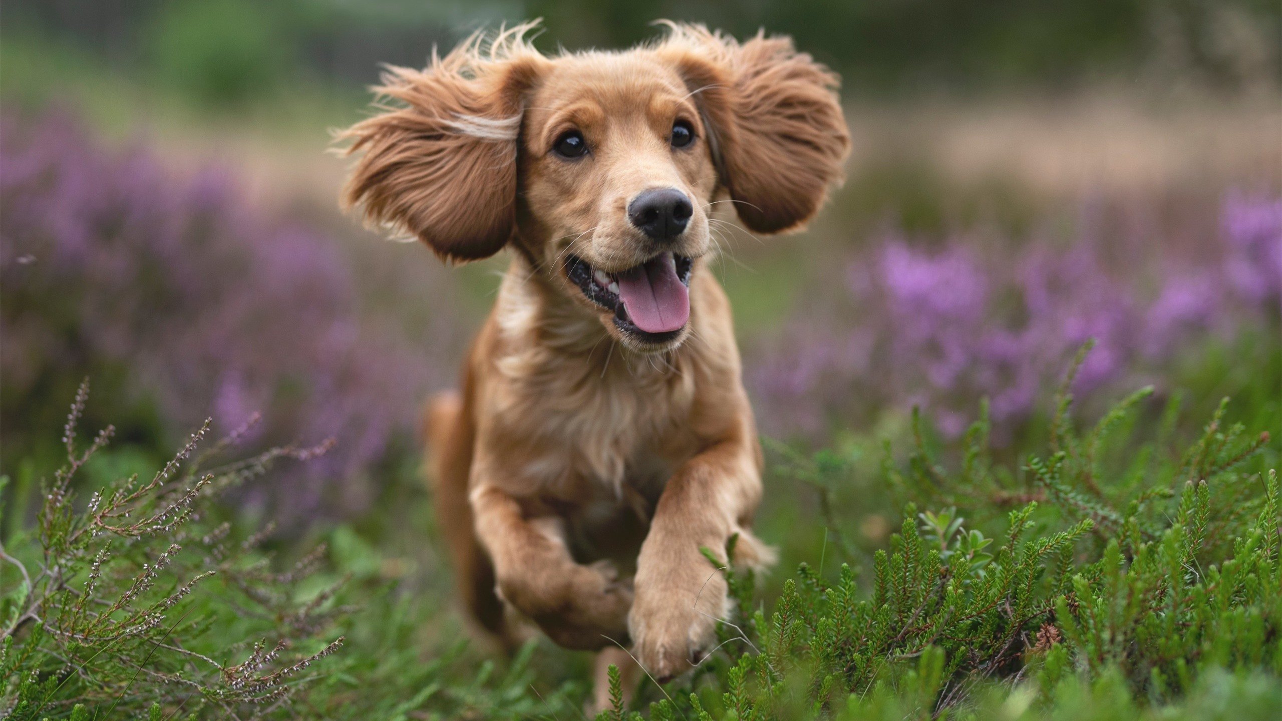 开云体育登录-两片夜空,同一颗星,欧冠半决赛之夜见证詹姆斯的终极绽放