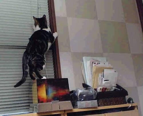 开云下载-锡安统治级存在感点燃球馆,篮网强硬终结热火连胜势头