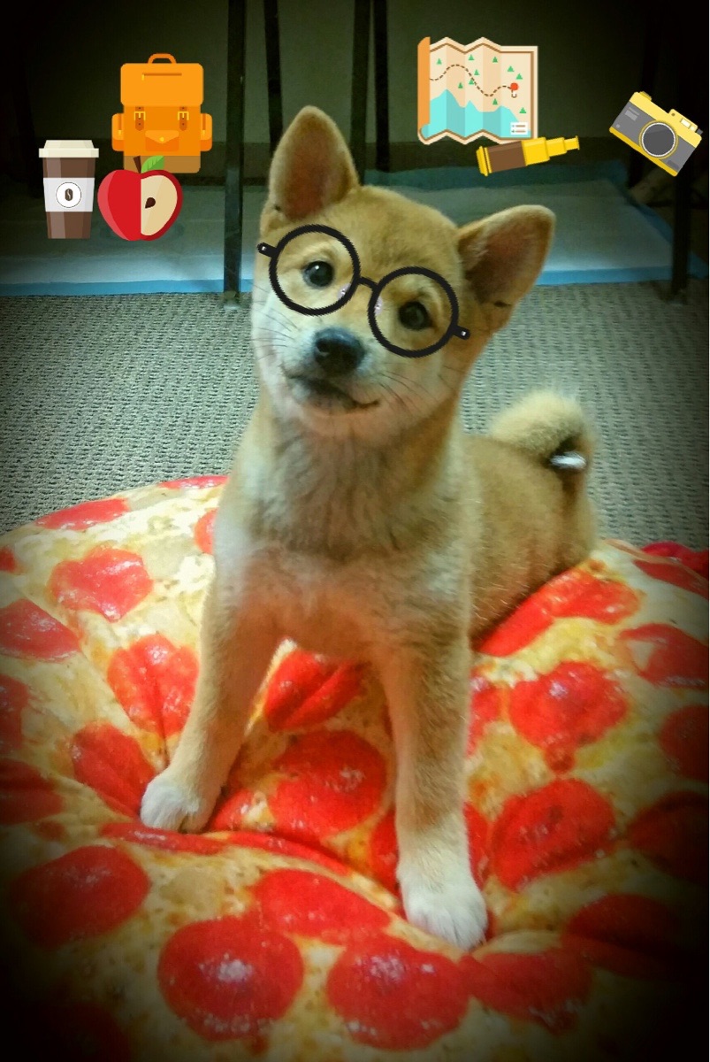 开云APP-武切维奇一剑封喉！步行者血拼黄蜂，关键先生导演逆转绝杀