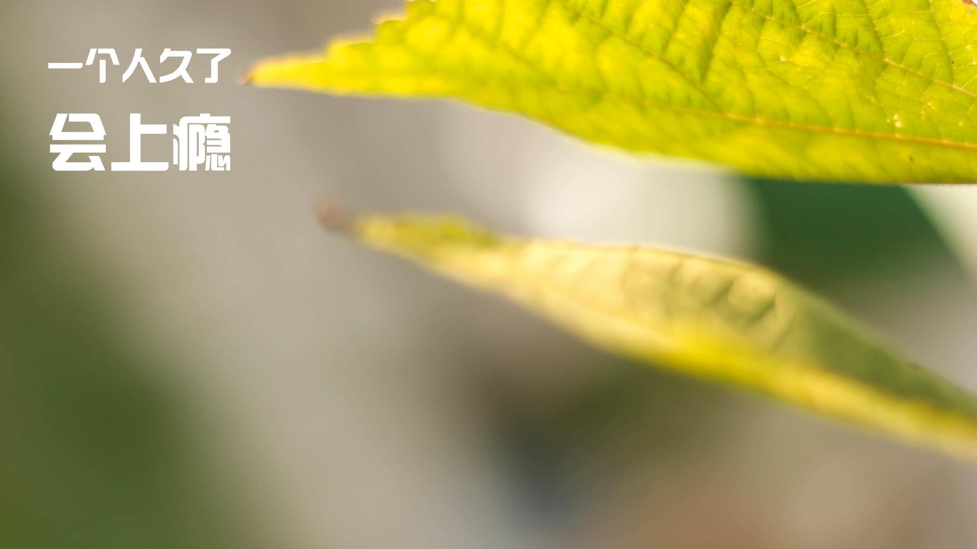 开云体育入口-德国终结智利不败金身,金玟哉关键先生闪耀全场