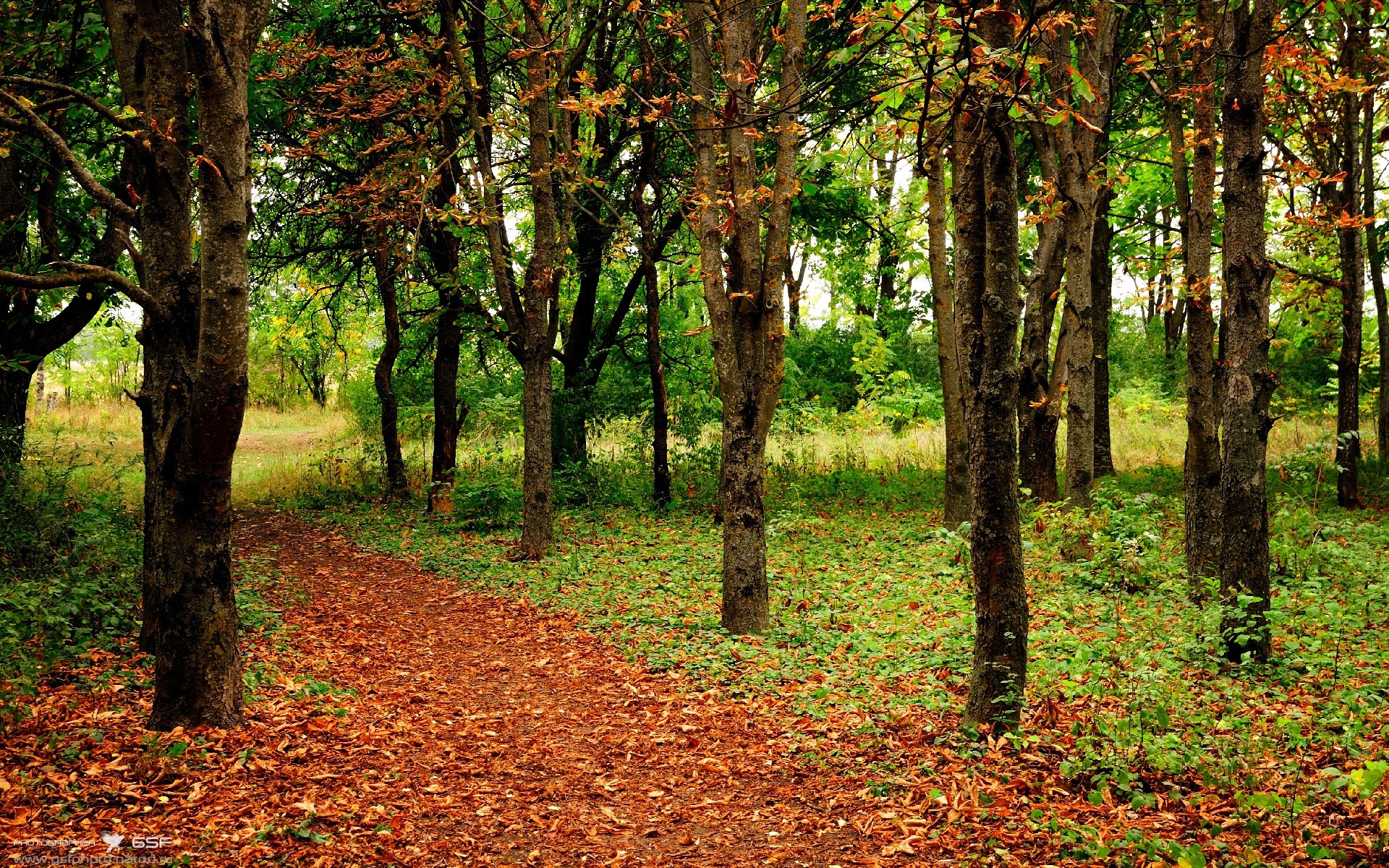 开云体育-英超争冠烽火连天，葡萄牙欧战踏平莱比锡红牛彰显足球狂潮