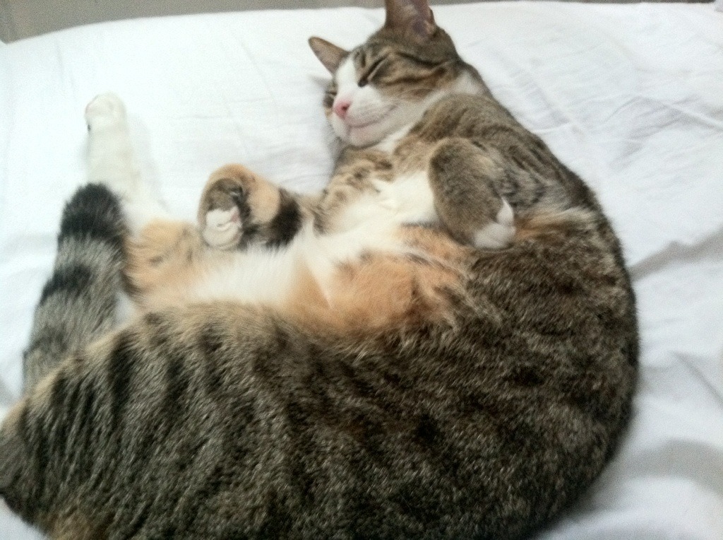 开云体育中国-贝林厄姆一锤定音！挪威力克墨西哥强势晋级，皇马巨星化身关键先生