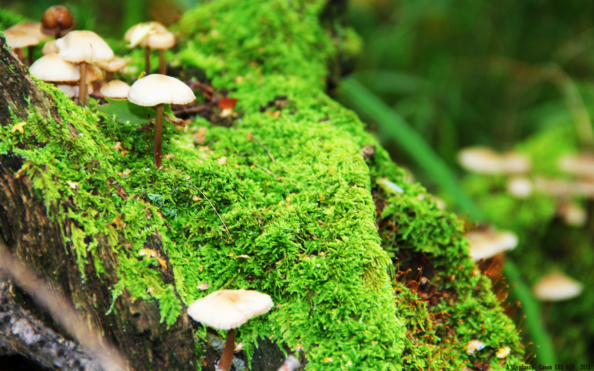 开云体育-战术齿轮的完美咬合，巴尔韦德关键先生本质解析