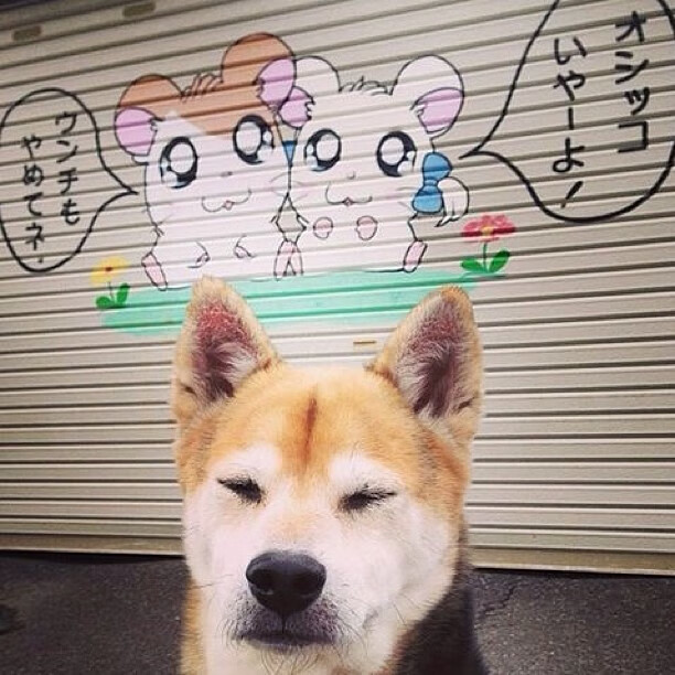 开云体育在线-篮球的时间魔法,从广东队的节奏哲学到布伦森的德甲封神之战