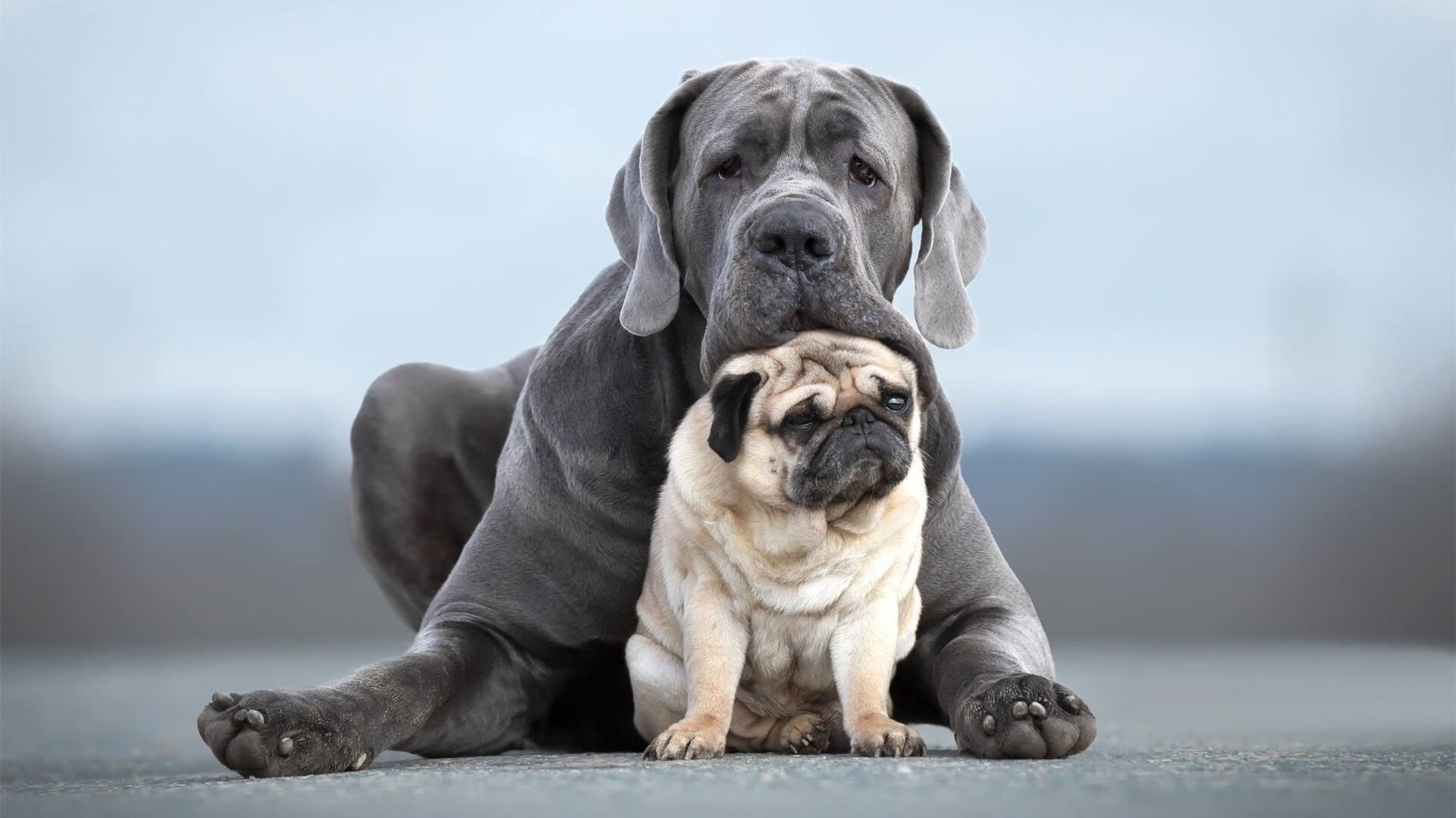 开云体育-东决关键战之夜,富安健洋,从亚洲孤勇者到洲际防线主宰