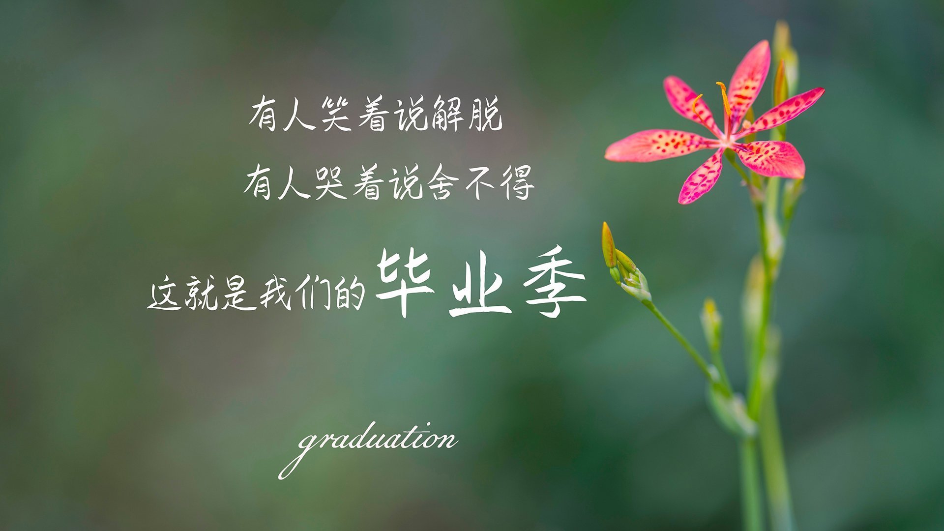 开云体育官网-意甲焦点战启示录,从雷恩火力压制巴黎,看绿茵场上的以下克上哲学