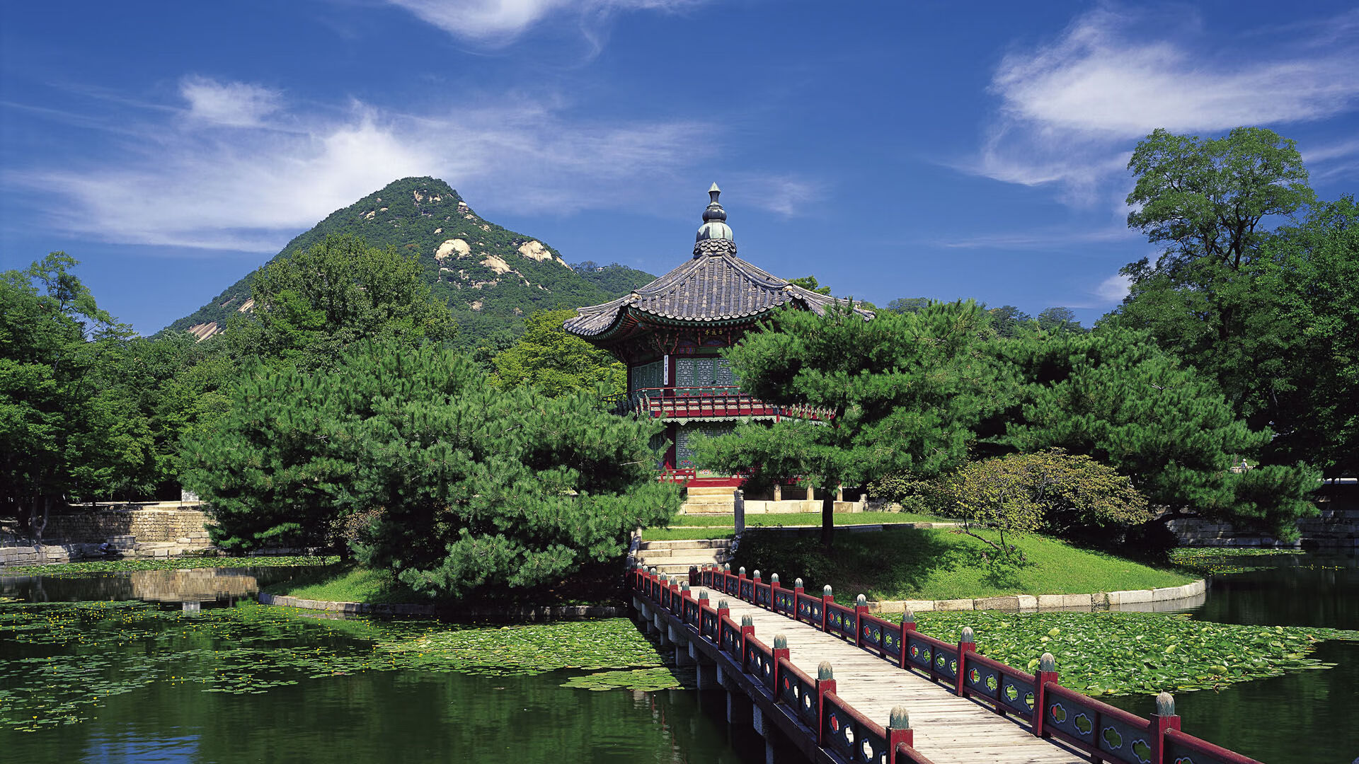 开云官网-荷兰硬仗取胜AC米兰，年度焦点之战的激情与荣耀